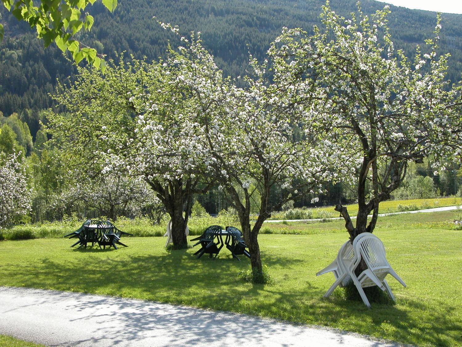 נסביין Smedsgarden Hotel מראה חיצוני תמונה